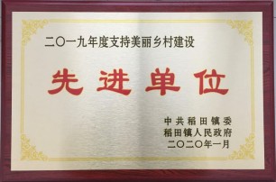 公司2019年爭先創優榮譽